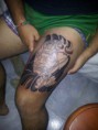 /album/trabajos/a10245330-10202148885271407-7157225335357376329-n-jpg/